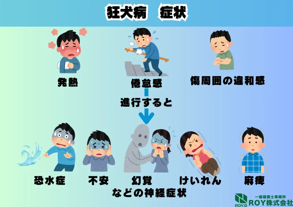 コウモリ 感染症 狂犬病 症状