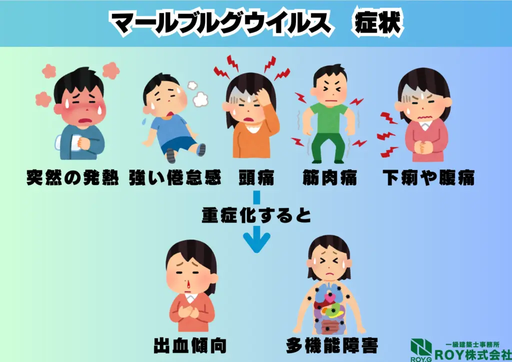 コウモリ 感染症 マールブルグ 症状