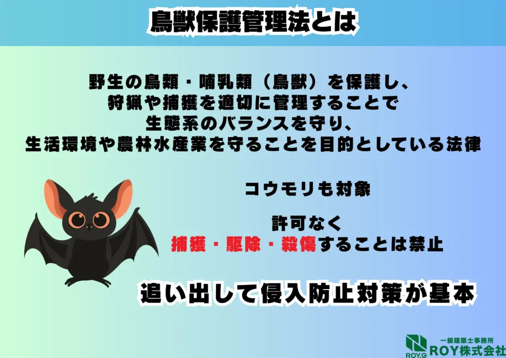 鳥獣保護管理法 説明