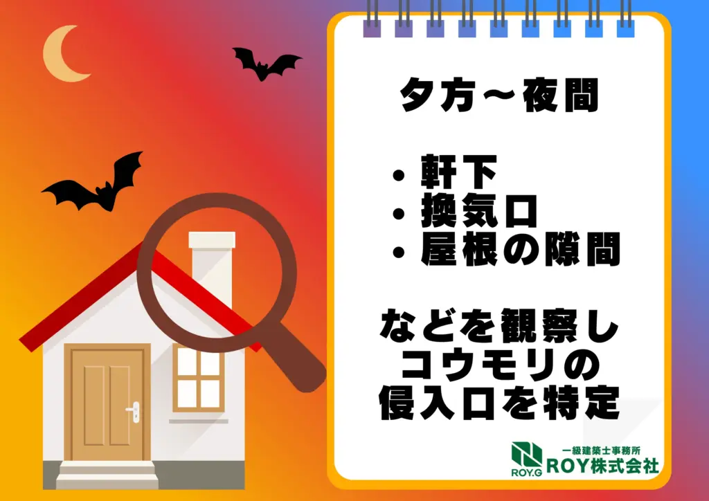 コウモリ感染症 対策