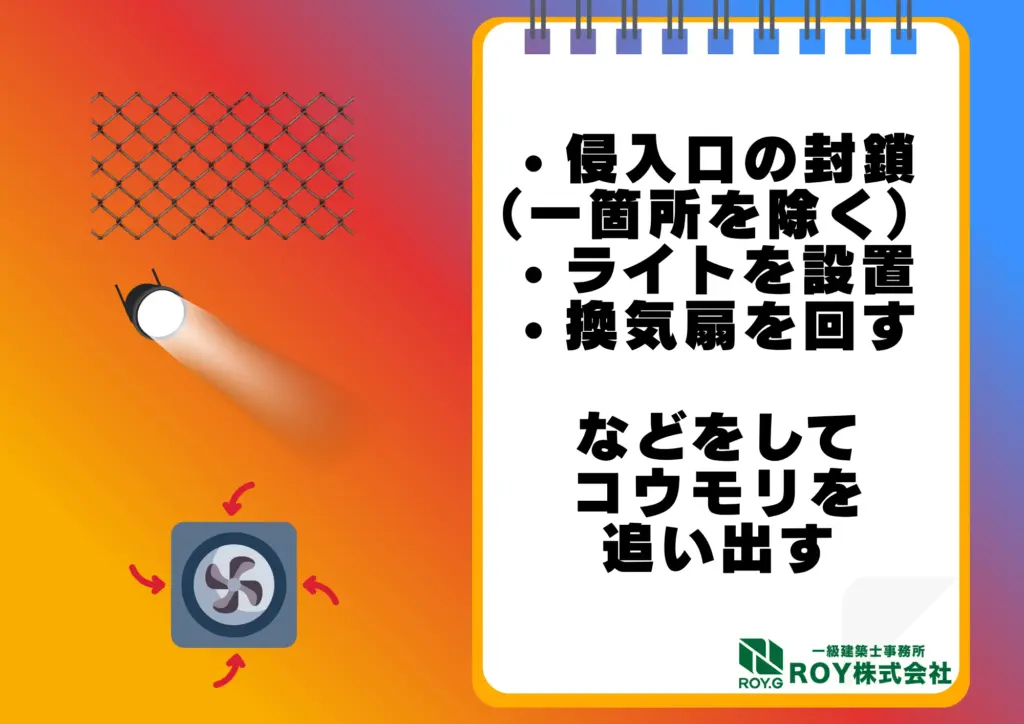 コウモリ感染症 対策方法