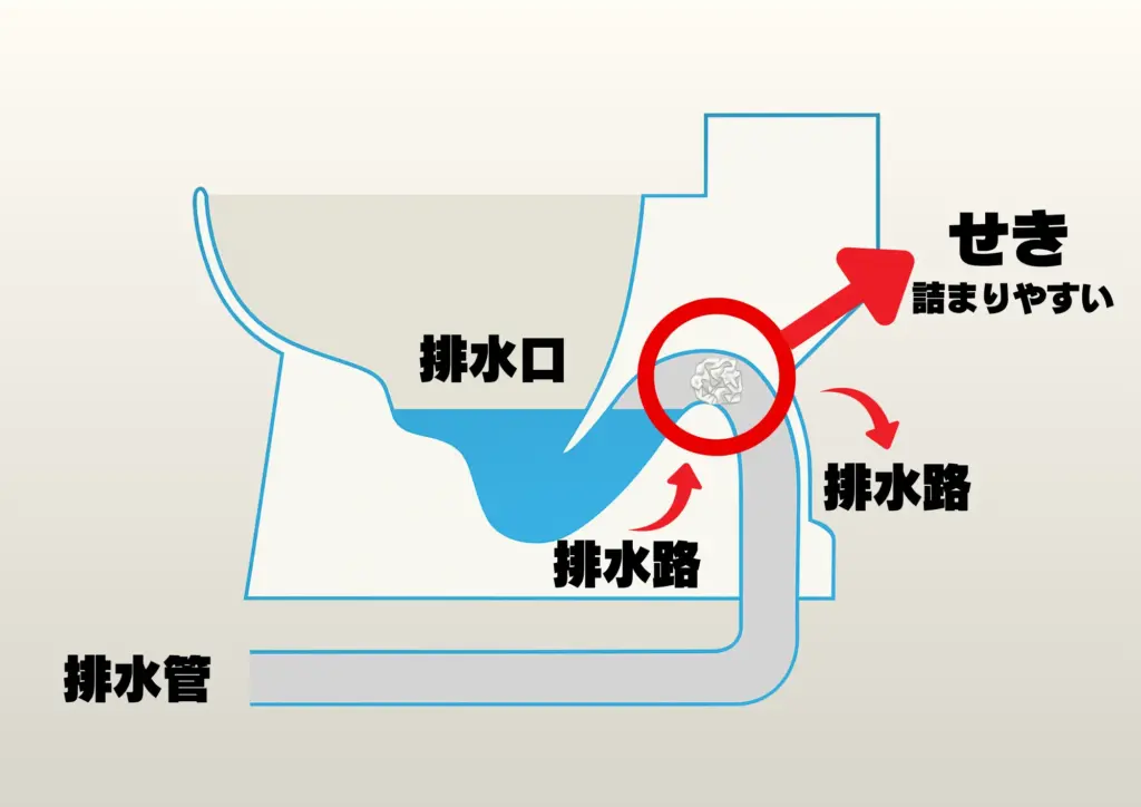 トイレ 構造 説明 せき