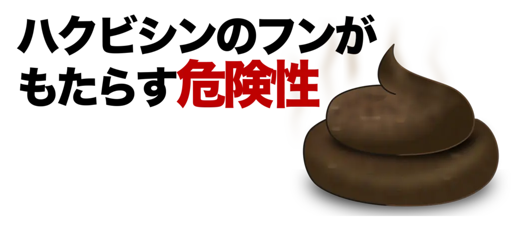 ハクビシンのフンがもたらす危険性
