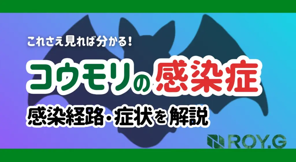 コウモリ 感染症 対策 感染経路