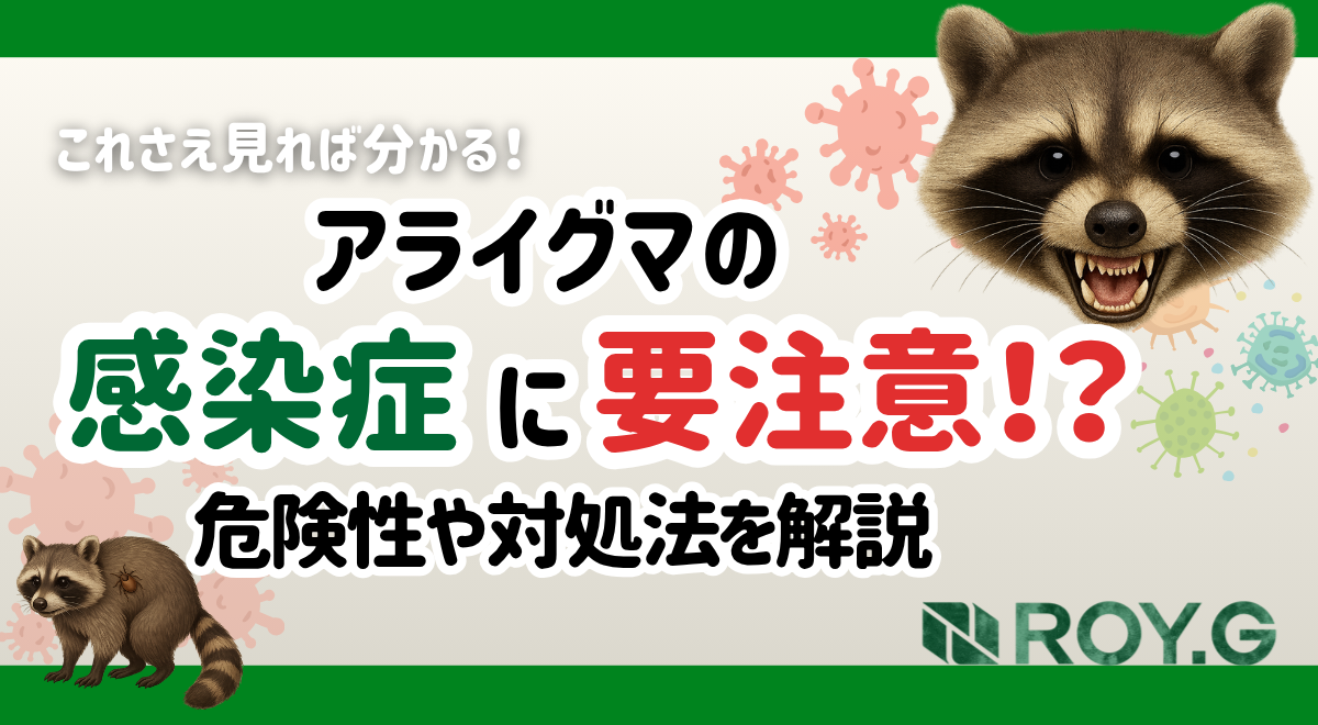 アライグマ　害獣　感染症