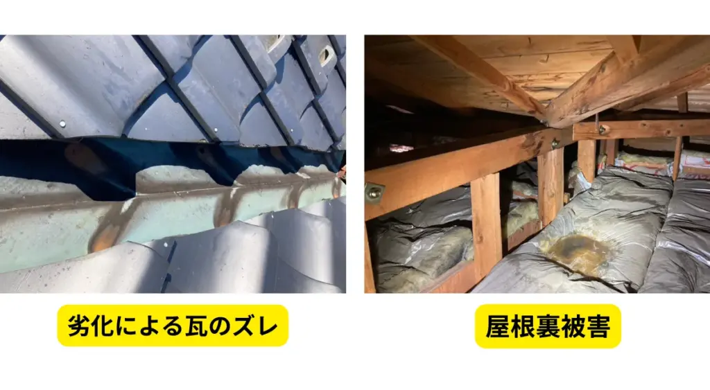 屋根裏被害
