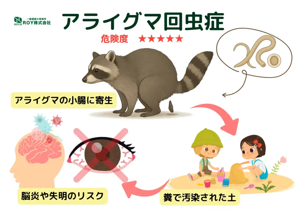 アライグマ 感染症 アライグマ回虫