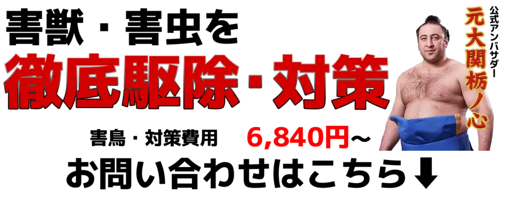 ROY株式会社 害獣駆除 栃ノ心アンバサダー