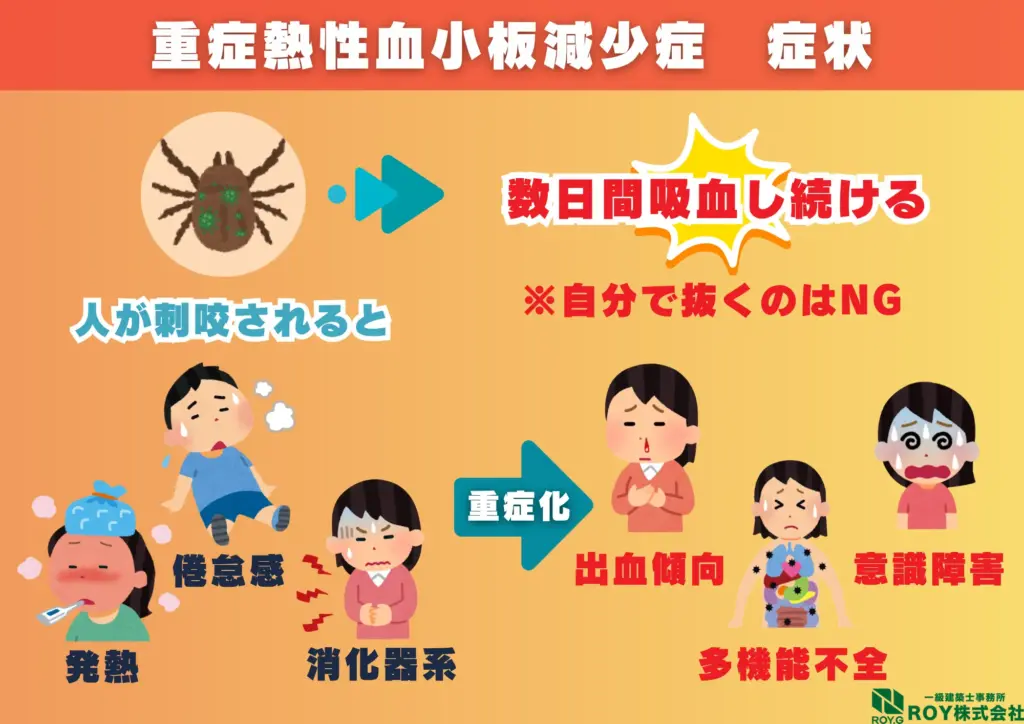 ハクビシン 感染症 重症熱性血小板減少症候群(SFTS)症状