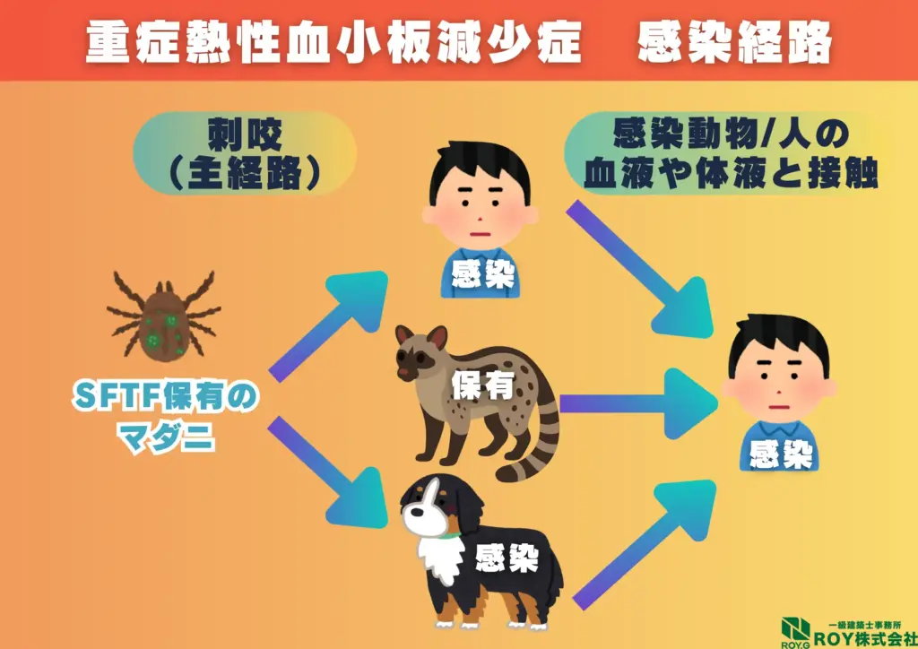 ハクビシン 感染症 重症熱性血小板減少症候群(SFTS)感染経路