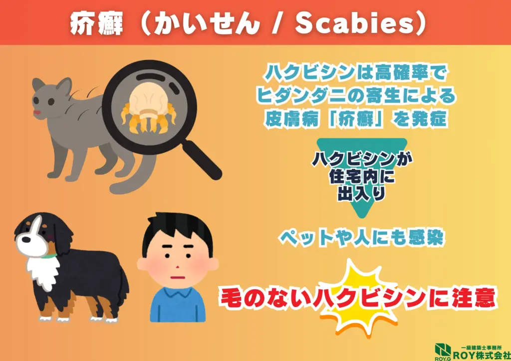 ハクビシン 感染症 疥癬