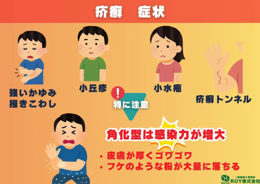 ハクビシン 感染症 疥癬 症状