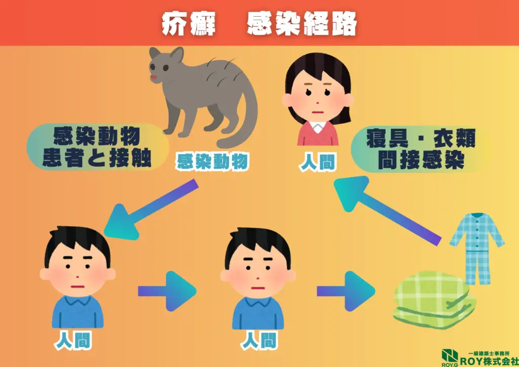 ハクビシン 感染症 疥癬 感染経路