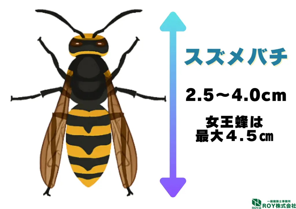 蜂　ハチ　自分でできる対策方法 ハチ　見分け方　スズメバチ　特徴