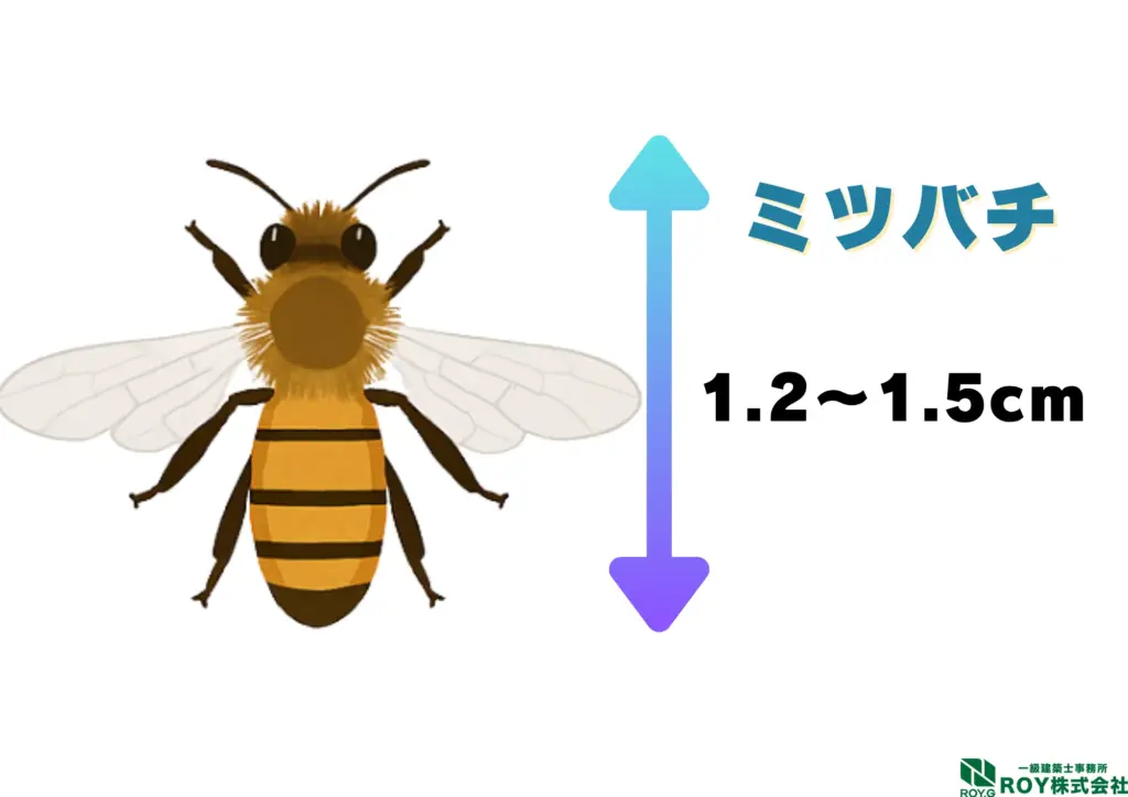 蜂　ハチ　自分でできる対策方法 ハチ　見分け方　ミツバチ　特徴