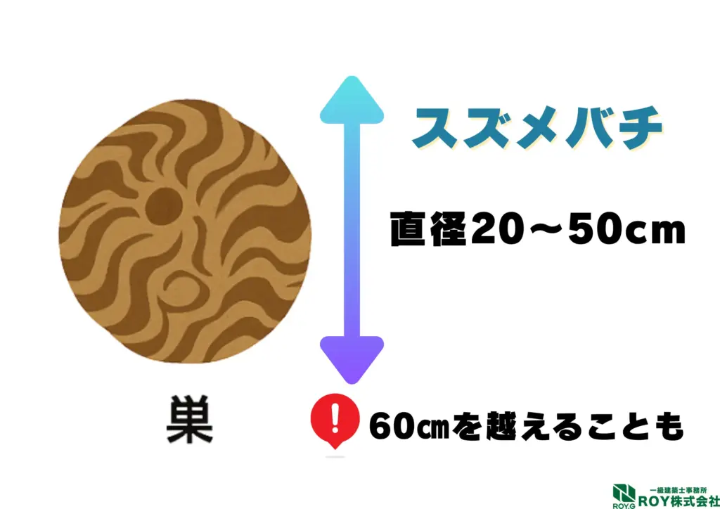 蜂　ハチ　自分でできる対策方法 スズメバチ　巣　特徴