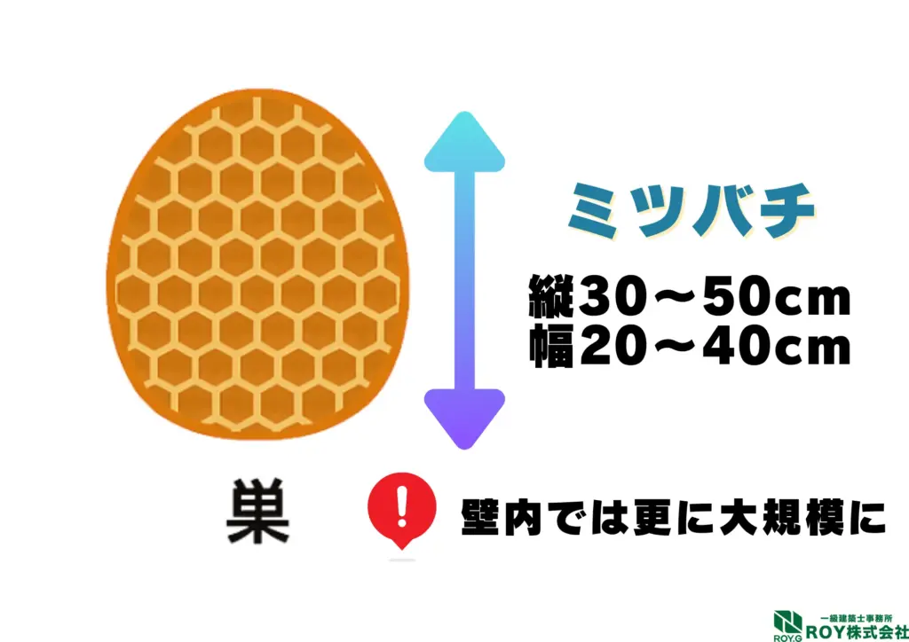 蜂　ハチ　自分でできる対策方法 ミツバチ　巣　特徴