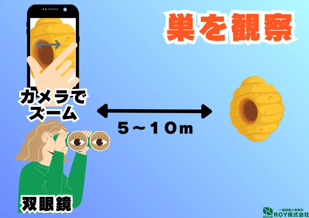 蜂　ハチ　自分でできる対策方法 手順