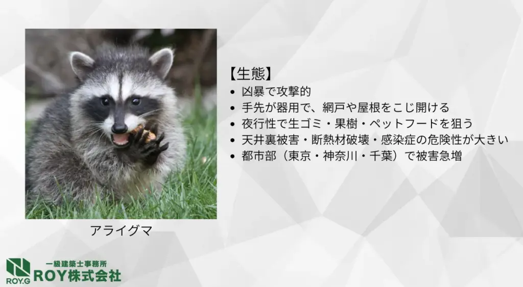 アライグマの生態・足跡の特徴