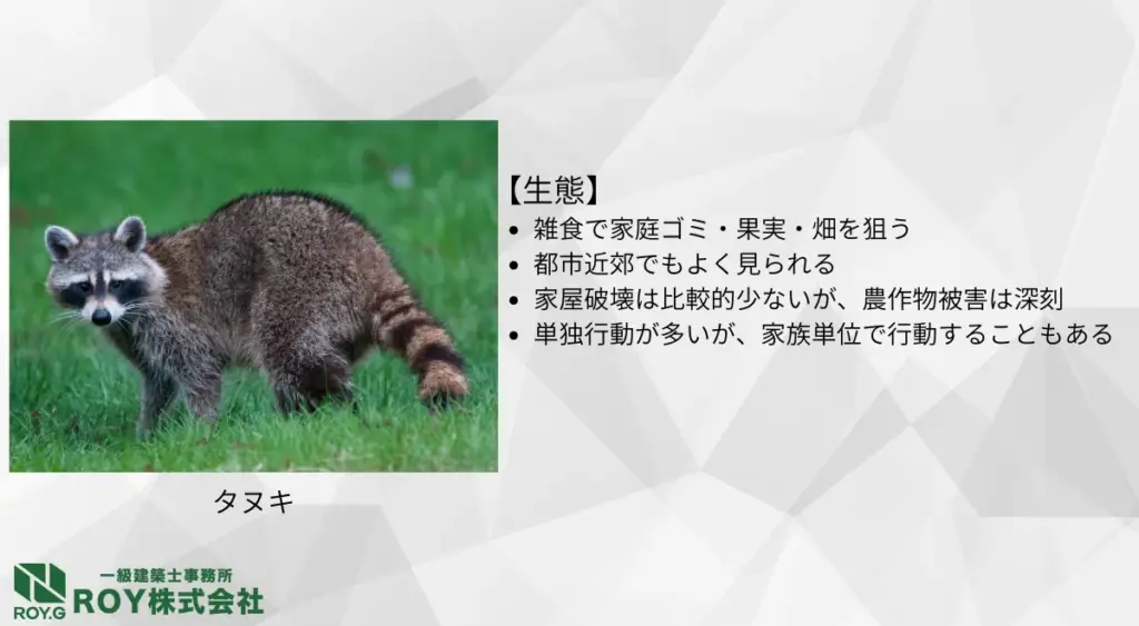 タヌキの生態・足跡の特徴