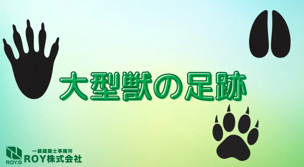 大型獣の足跡の特徴
