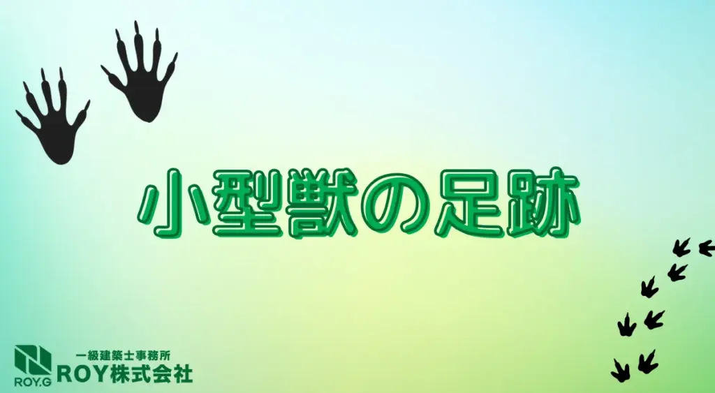 小型獣の足跡の特徴
