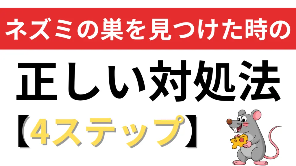 ネズミの巣を見つけた時の正しい対処法【4ステップ】