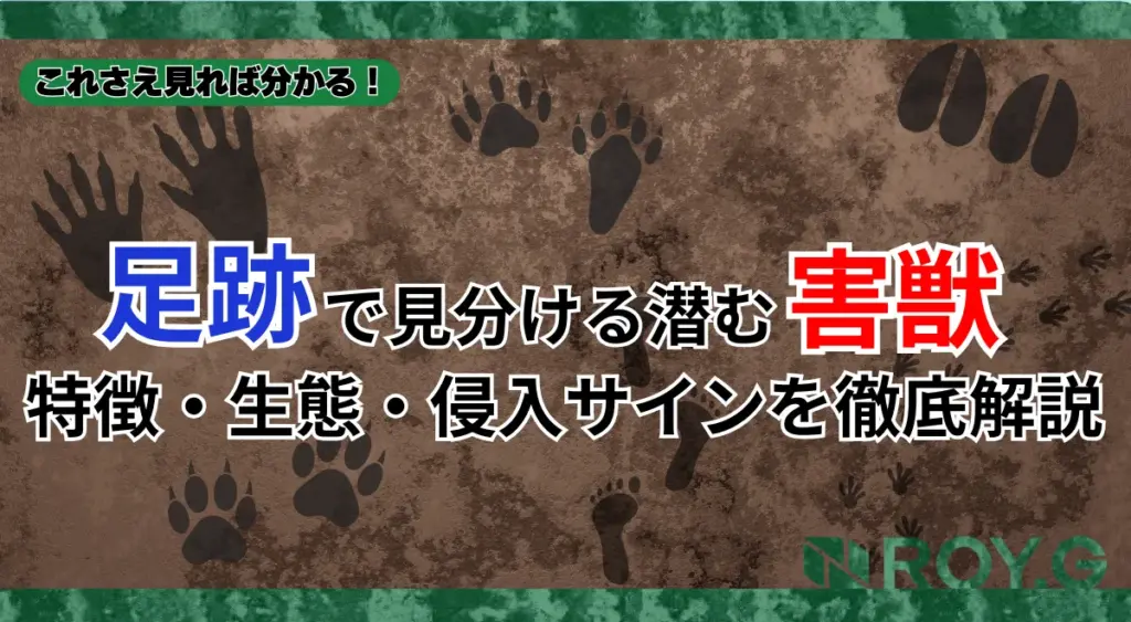害獣の足跡でここまで分かる!習性・生態・被害・予防まで徹底解説