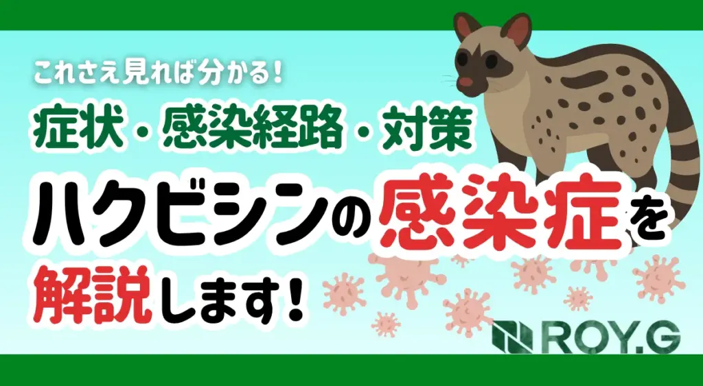 ハクビシン 感染症 記事 サムネイル