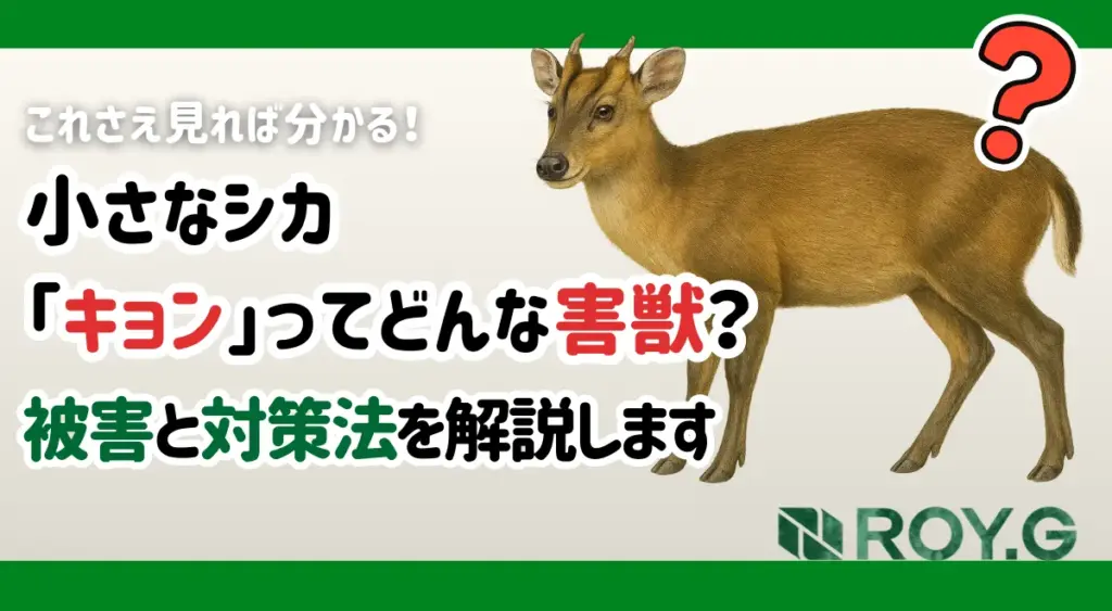 キョン　害獣　駆除　サムネイル