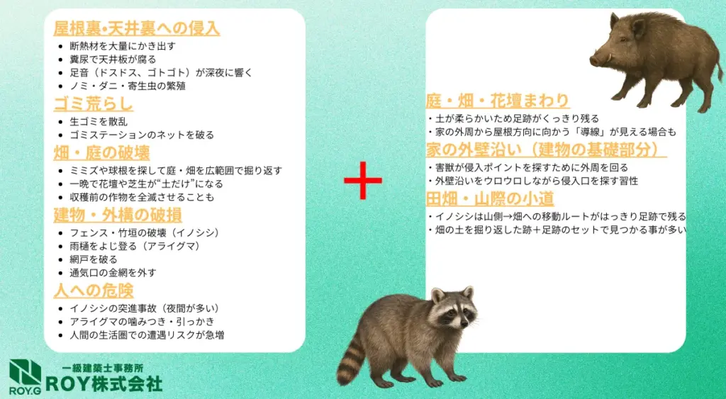 大型獣によくある被害例と特徴