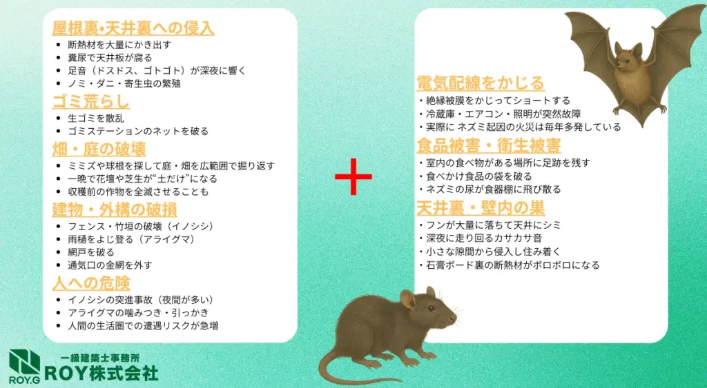 小型獣によくある被害例と特徴