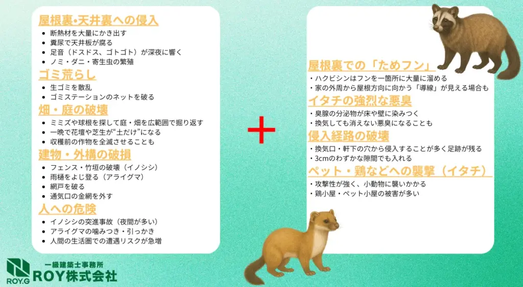 中型獣によくある被害例と特徴