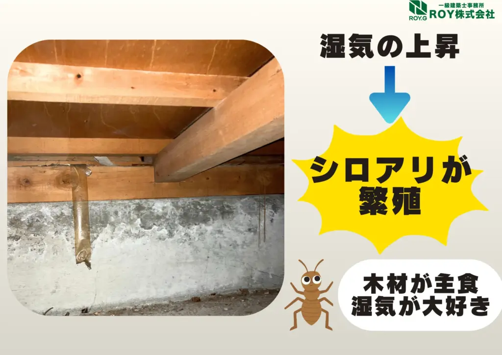 地震被害による瓦屋根のズレ　修理　保証　放置のリスク　シロアリが発生して住宅が腐食