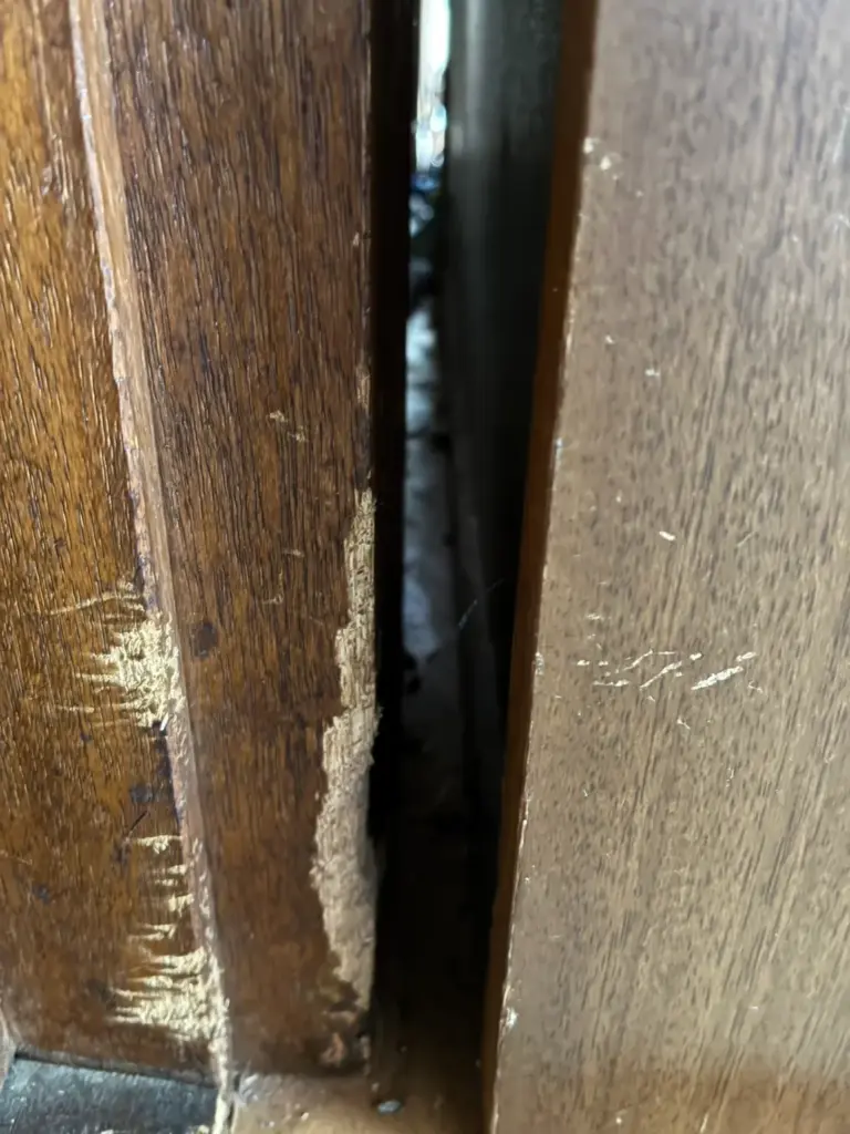 nezumi-kihizai-jikojisen-guide