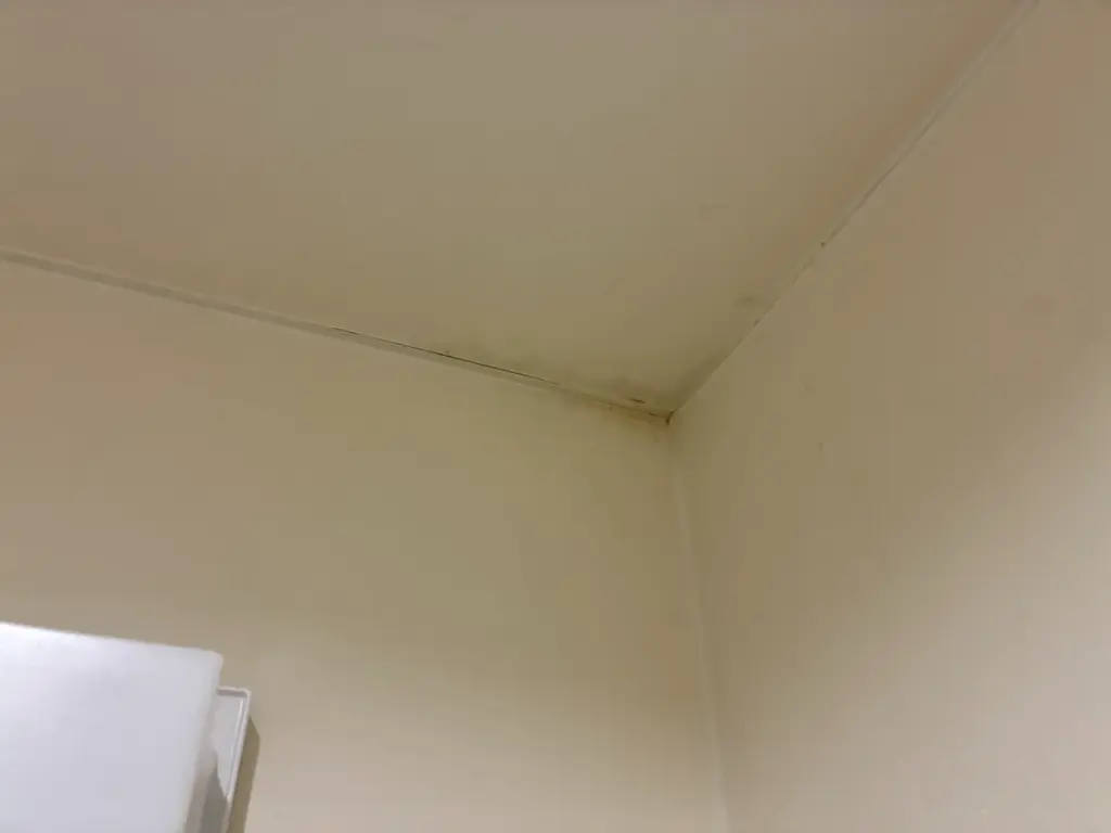 nezumi-kihizai-jikojisen-guide