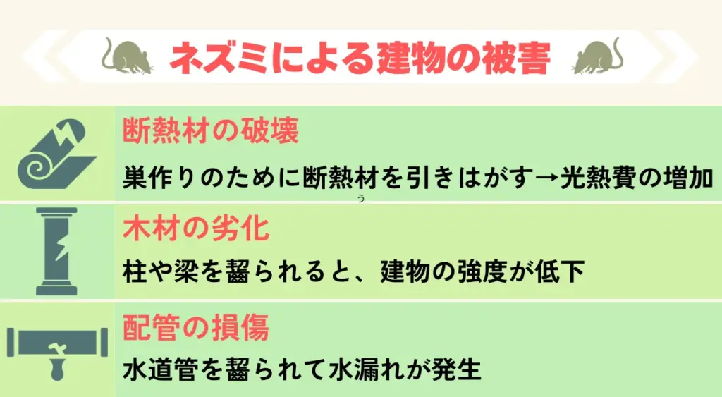 ネズミによる建物への被害