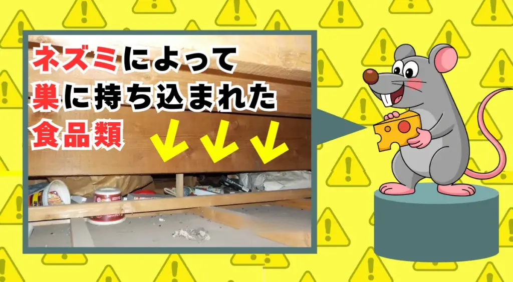 ネズミによって巣に持ち込まれた食品類