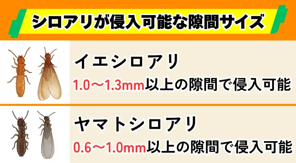 シロアリが侵入できる隙間は、わずか1mm程度！侵入可能な隙間サイズ