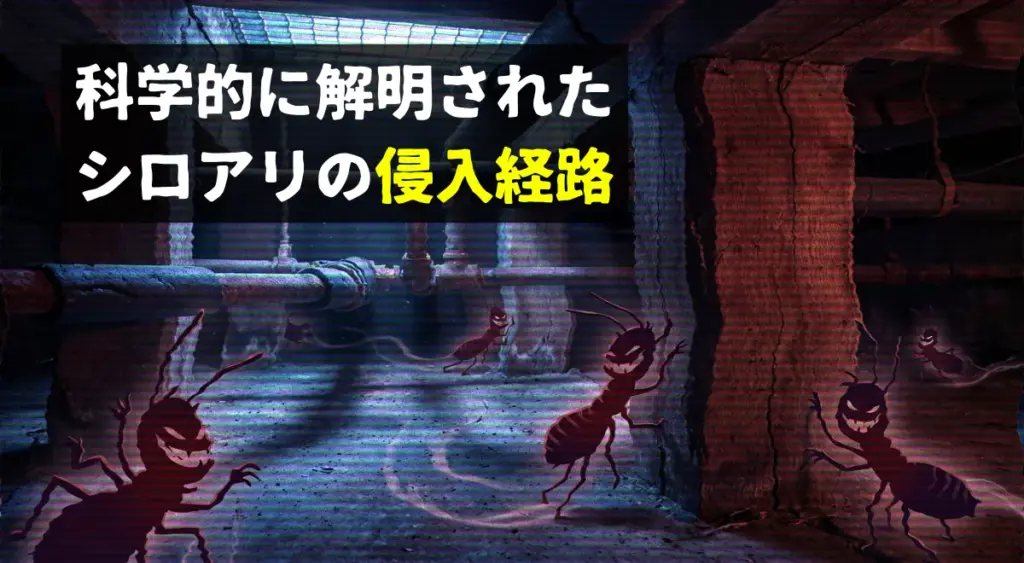 科学的に解明されたシロアリの侵入経路