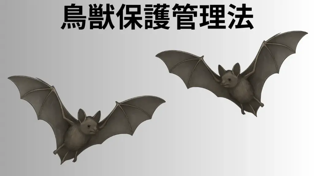 koumori-kihizai-taisaku