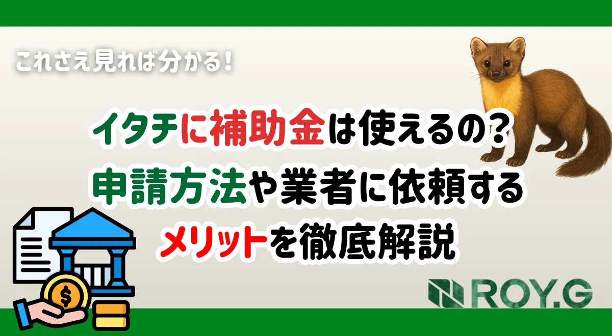 イタチ　補助金　業者　自治体　サムネイル