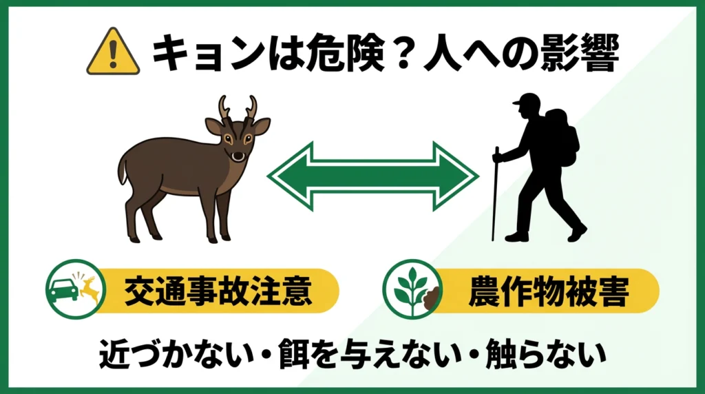 キョンによる住宅被害とは？
