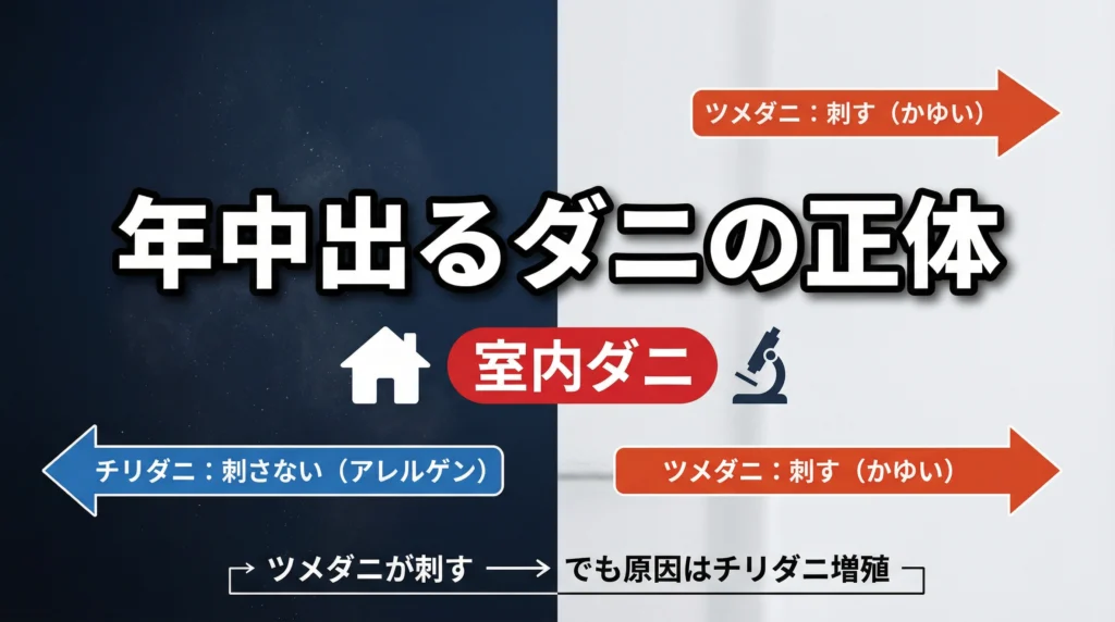 年中出るダニの正体は「室内ダニ」