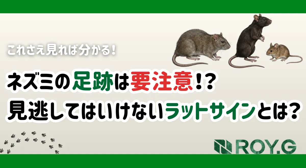 ネズミ　足跡　フン　害獣　サムネイル