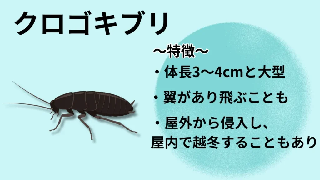 gokiburi-fuyu-genin-taisaku