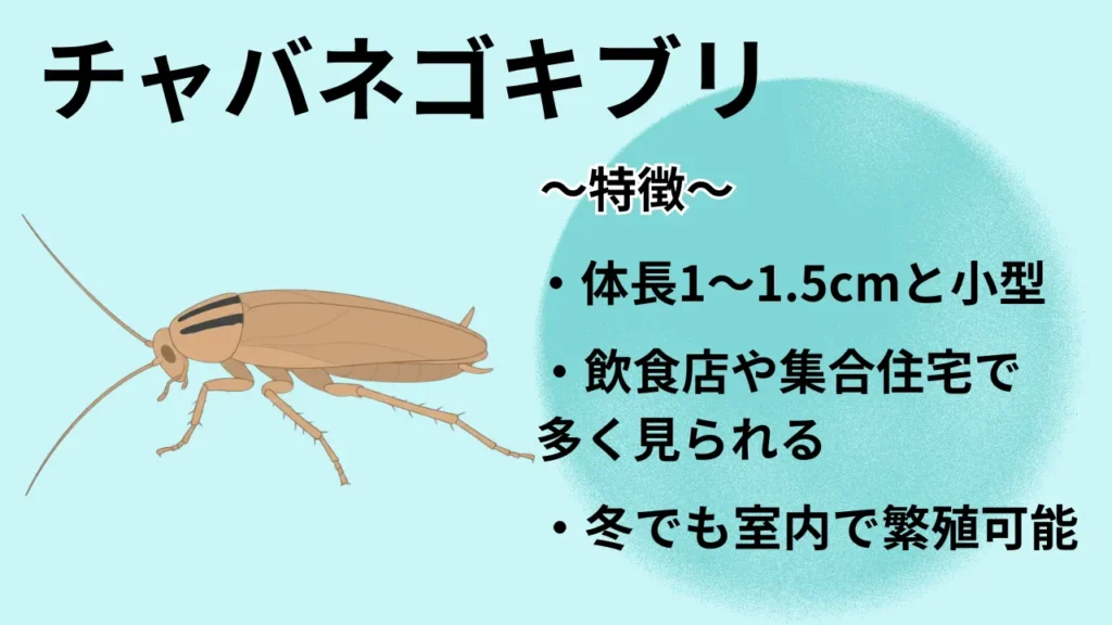 gokiburi-fuyu-genin-taisaku