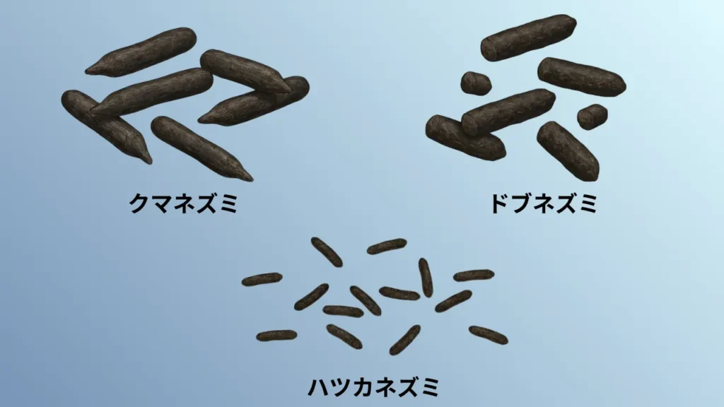 nezumi-1hiki-nanbiki-iru	