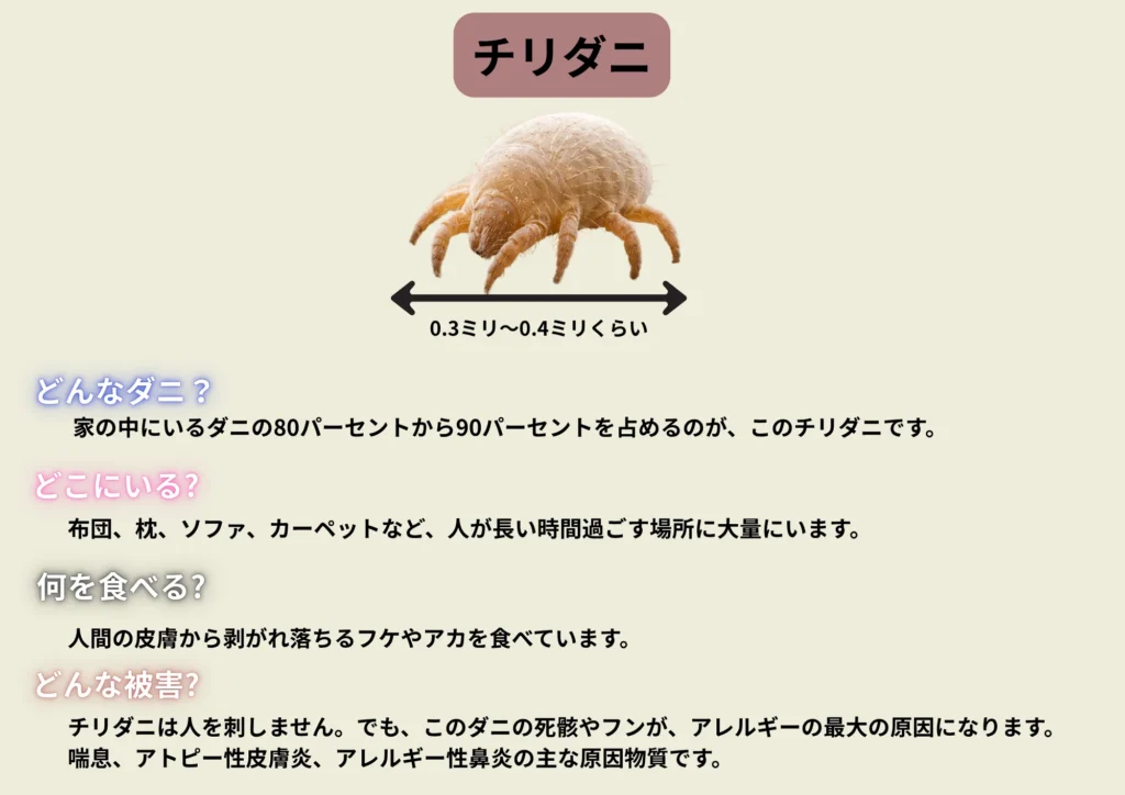 春に増えるダニの種類と被害とは?4月から急増する理由と効果的な対策について | ROY株式会社