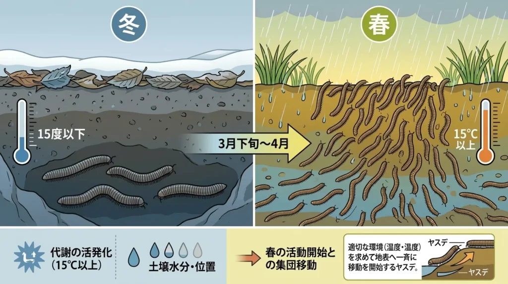 yasude-haru-tairyouhassei-taisaku